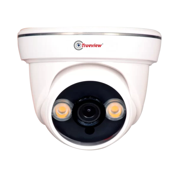 Trueview T18091 2MP Dome Camera